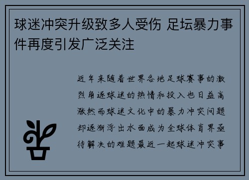 球迷冲突升级致多人受伤 足坛暴力事件再度引发广泛关注